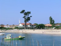 Bassin d´Arcachon